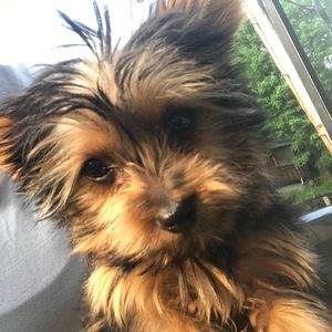 Meet your Posher, Keith